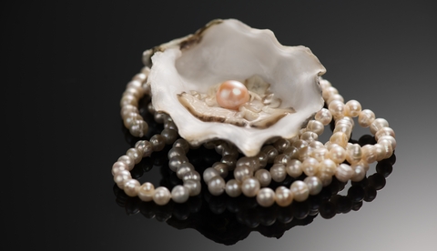 Midnight in Monte Carlo: 2025 Benefit Pearl Ticket