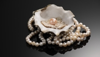 Midnight in Monte Carlo: 2025 Benefit Pearl Ticket